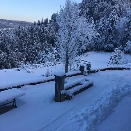 Domaine De Malpas Appartement Villers-le-Lac Buitenkant foto