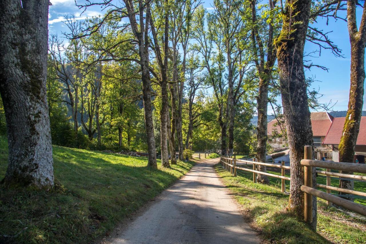 Domaine De Malpas *